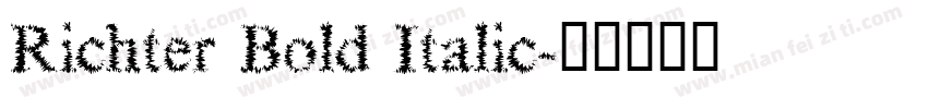 Richter Bold Italic字体转换